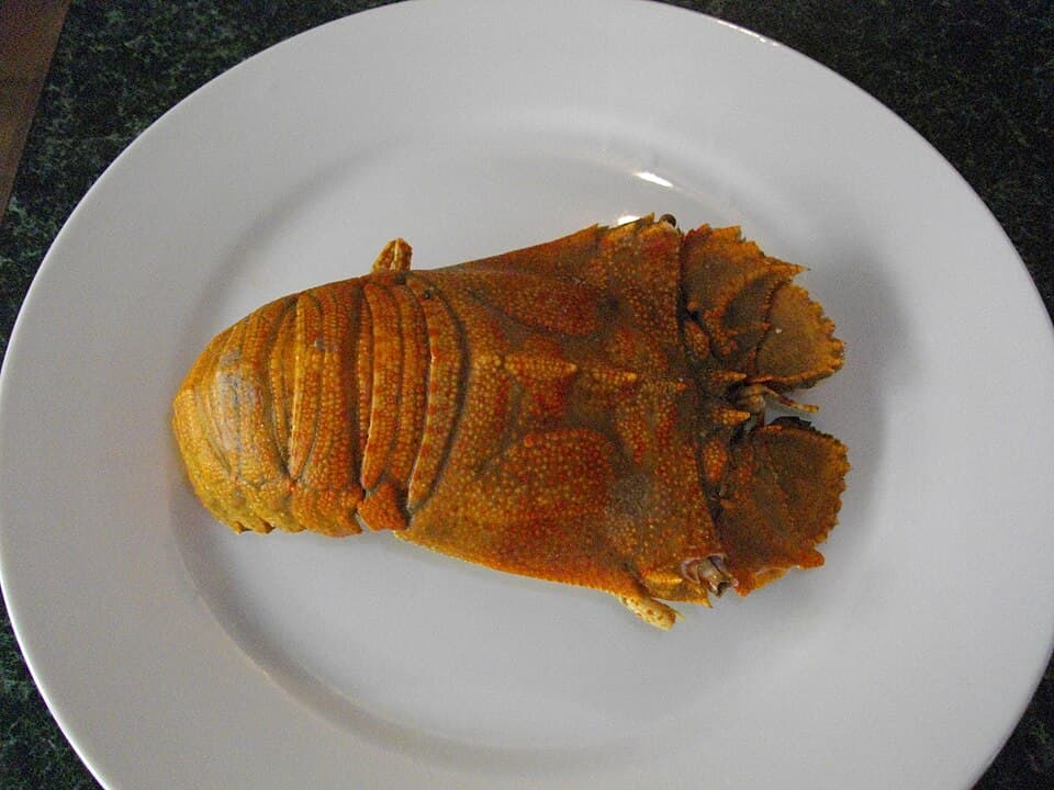 Moreton Bay Bugs