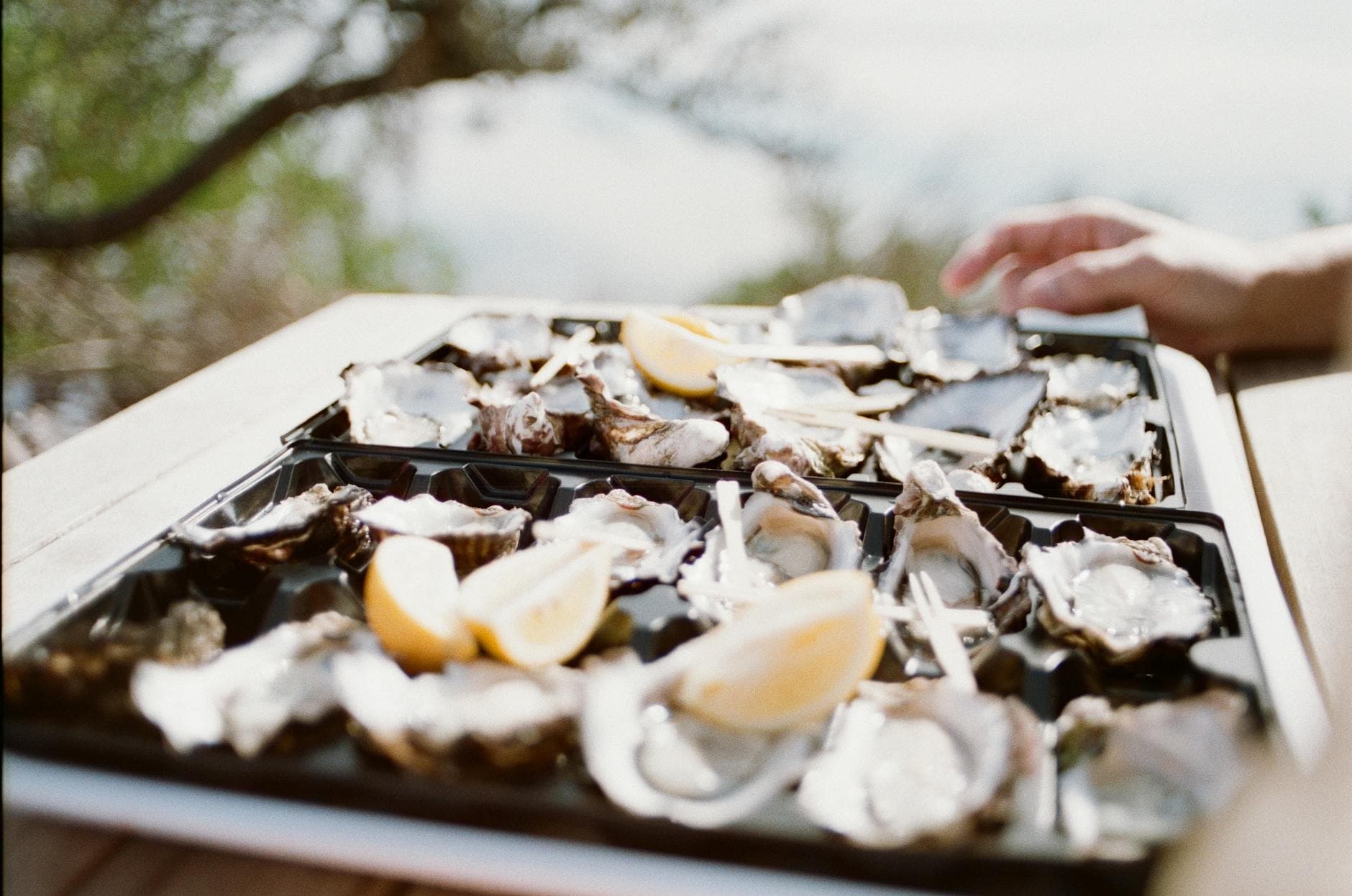 Queensland cuisine from Australia