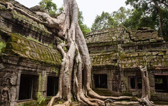 Siem Reap cuisine from Cambodia
