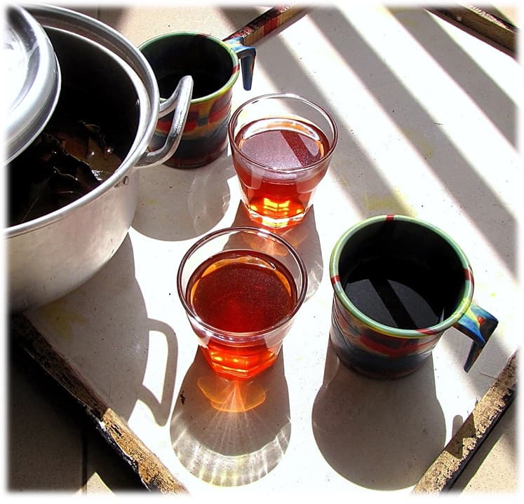 Kinkeliba Tea