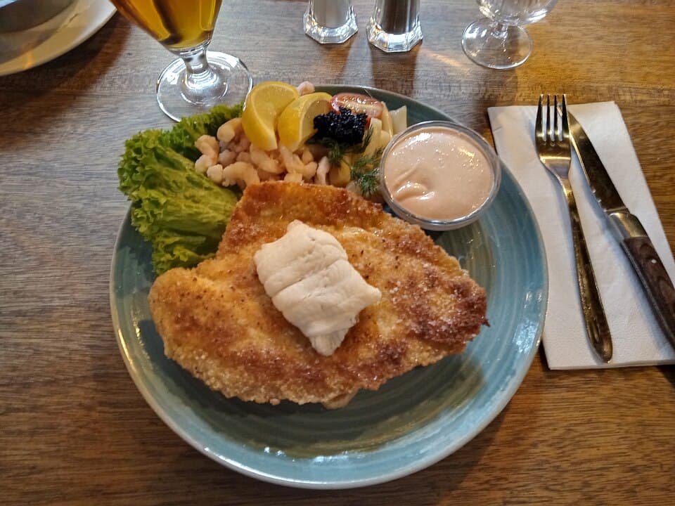 Stjerneskud