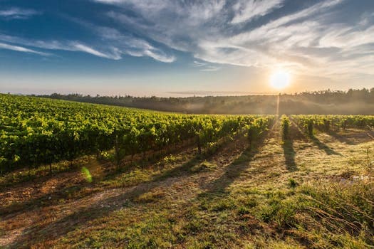 Tuscany cuisine from Italy