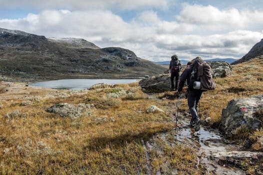 Swedish Lapland (Sápmi) cuisine from Sweden