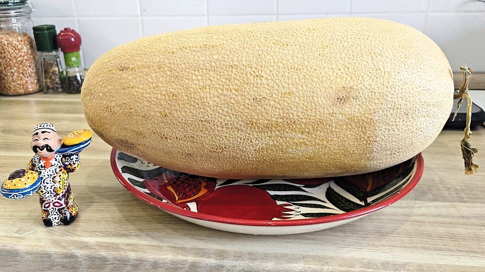 Uzbek Melons