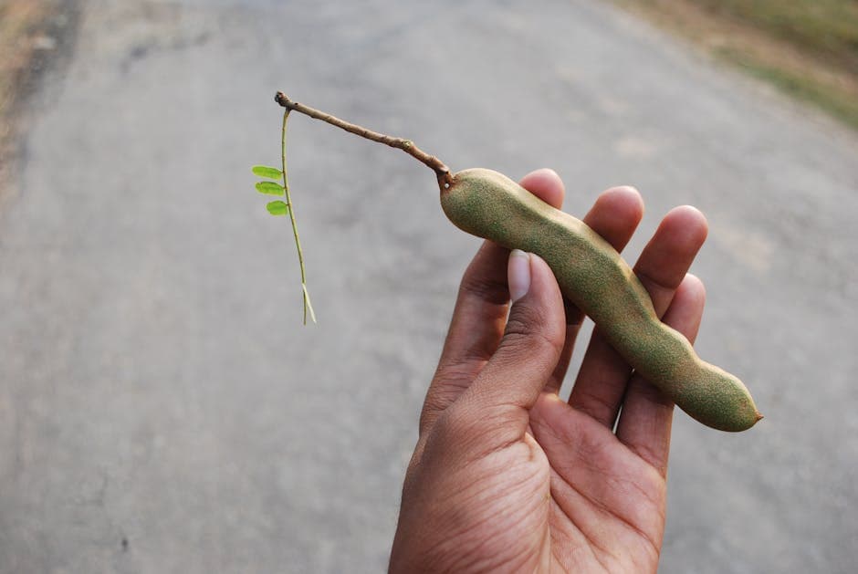Tamarind Juice