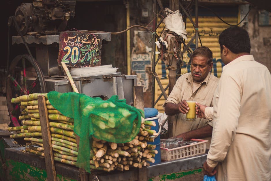 Cane Juice (Fermented)