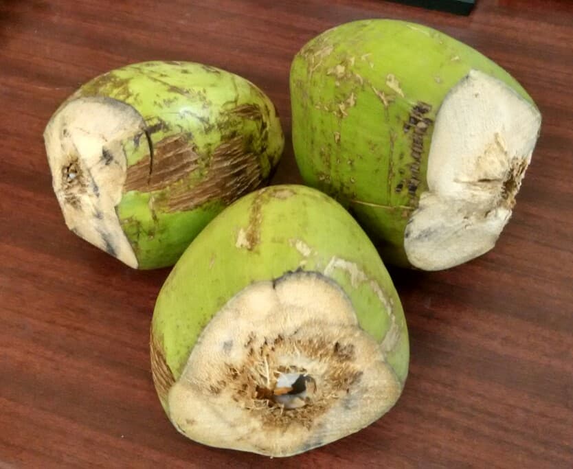 Fresh Coconut Water