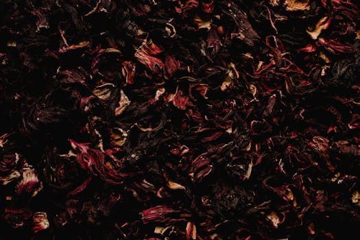 Hibiscus Tea
