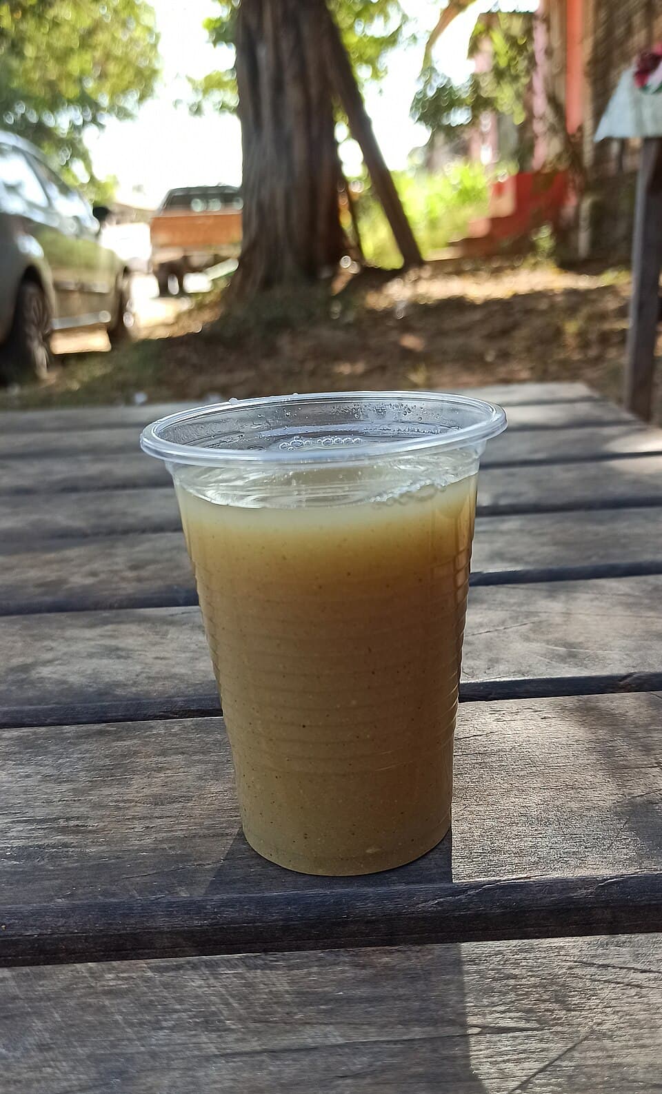 Chicha Cochabambina (Chicha)