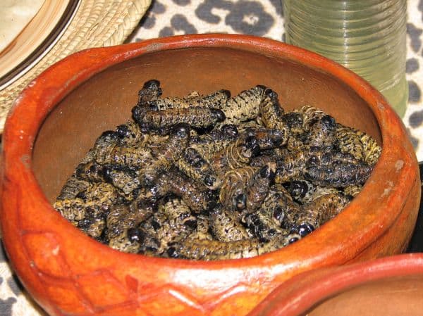 Mopani Worm Relish