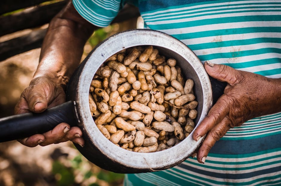 Bahia cuisine from Brazil