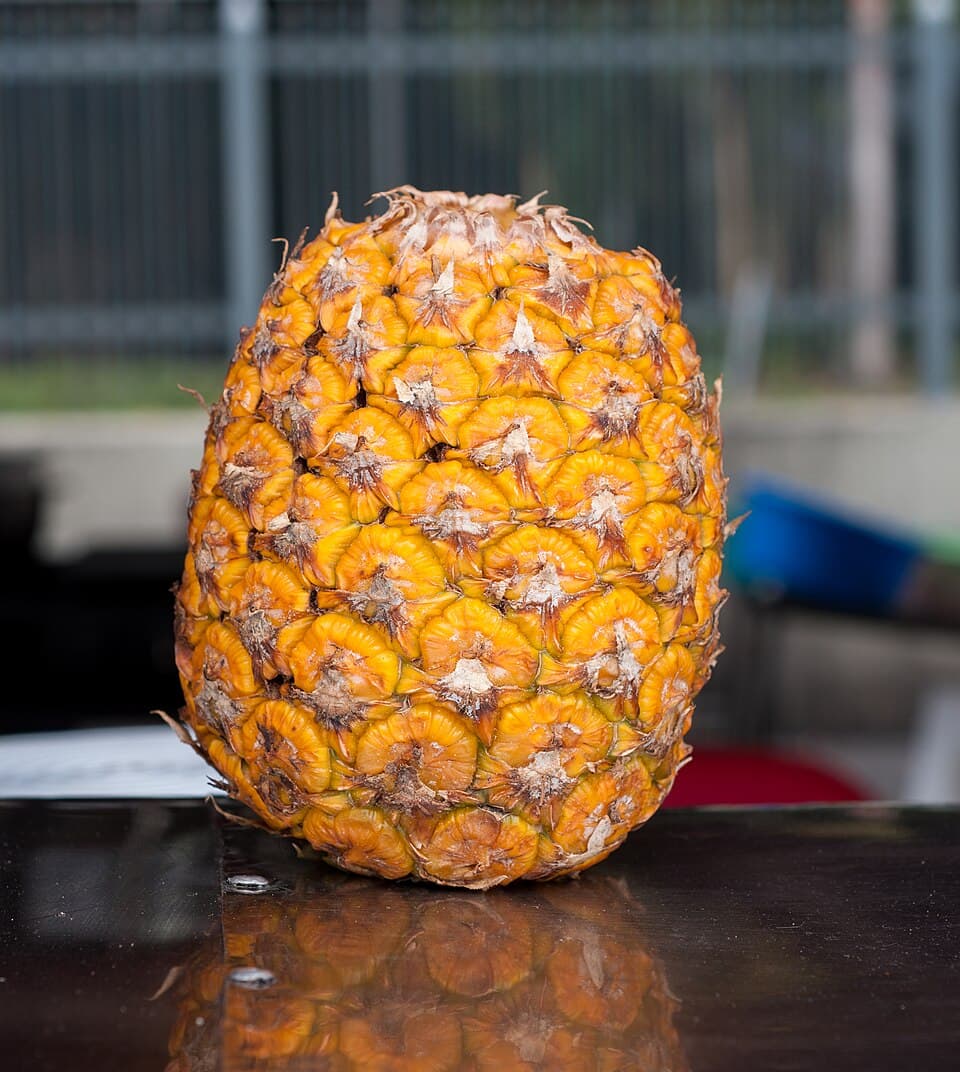 Pineapple