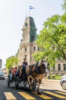 Quebec cuisine from Canada