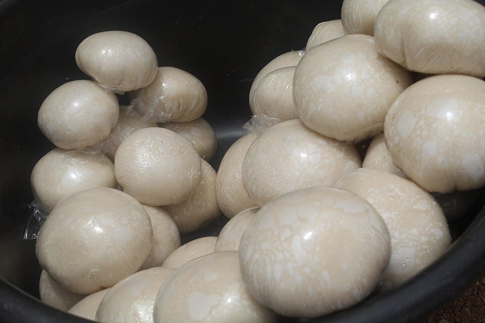 Gozo (Cassava Fufu)