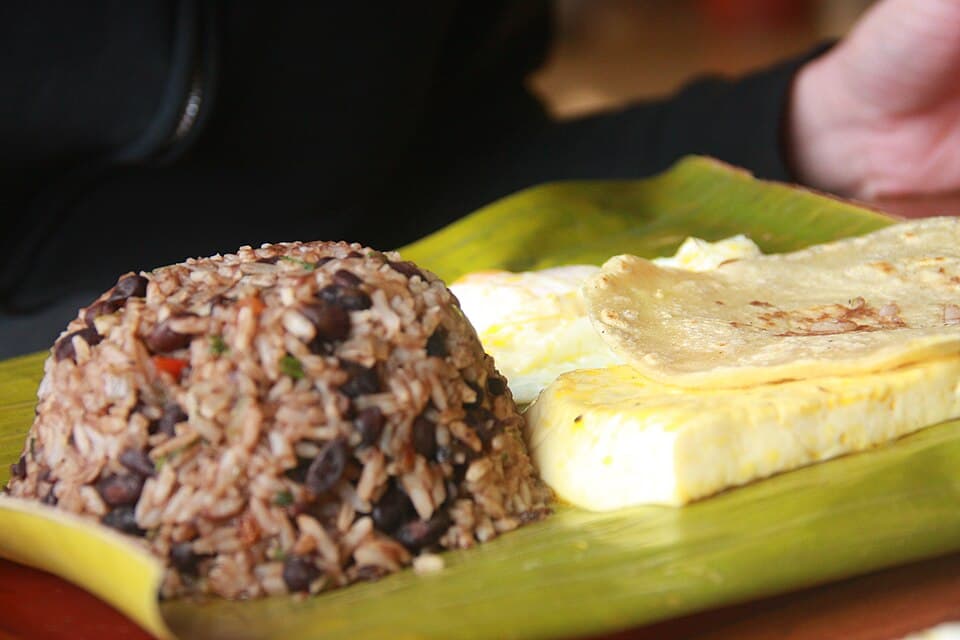 Gallo Pinto (Spotted Rooster)