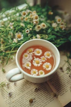 Bylinkový čaj (Herbal Tea)