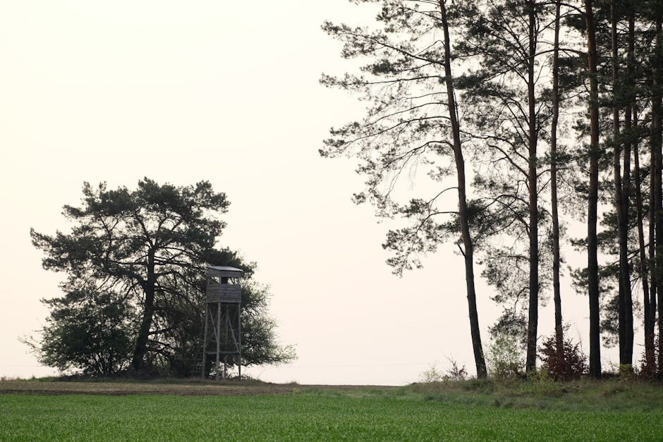 Kalinago Territory cuisine from Dominica