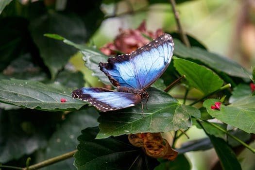 Amazon (Amazon Rainforest) cuisine from Ecuador