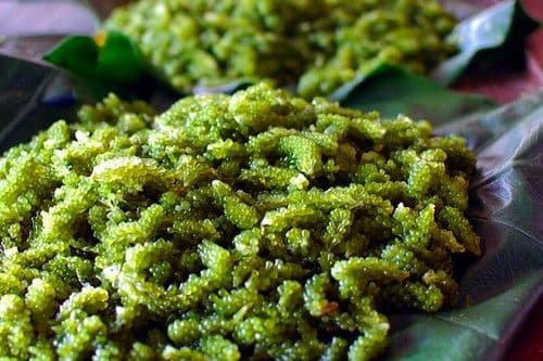 Nama (Sea Grapes)