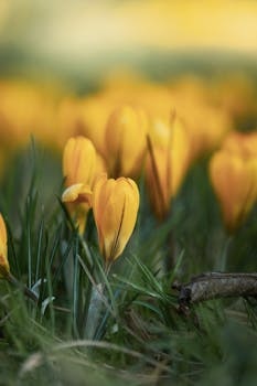 Baden-Württemberg cuisine from Germany