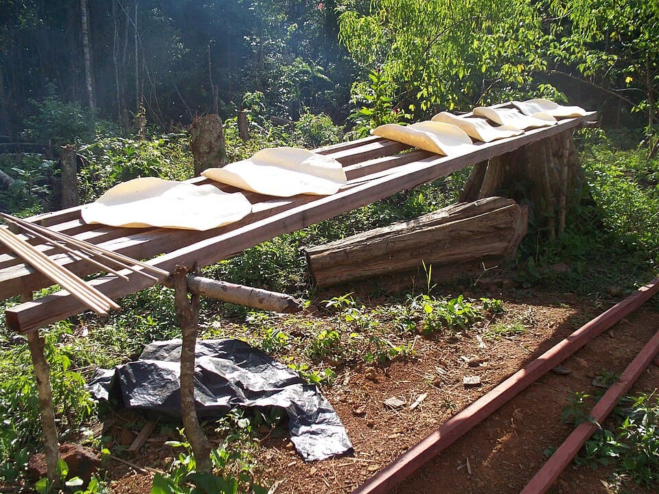 Cassava Bread