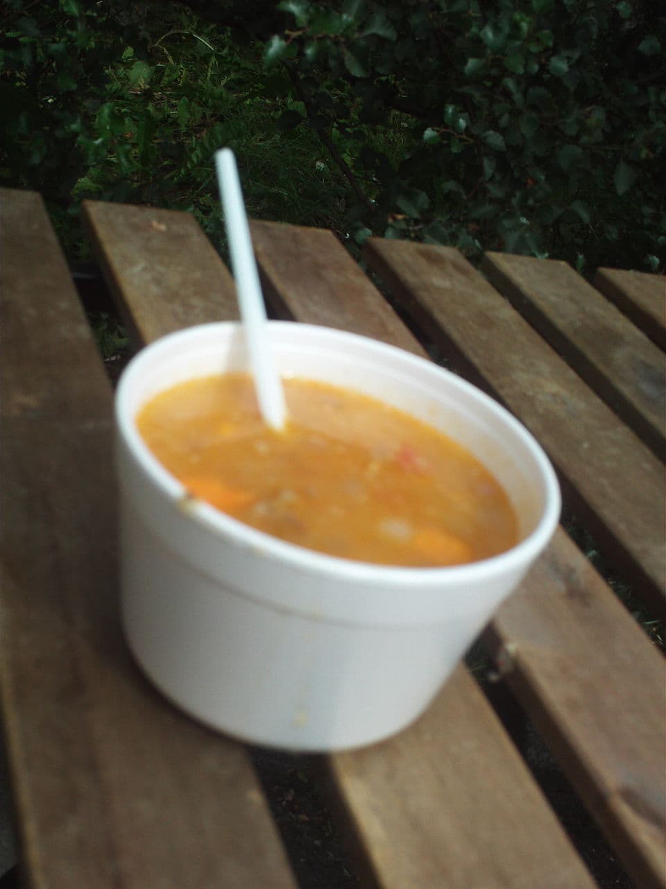 Lamb Soup (Kjötsúpa)