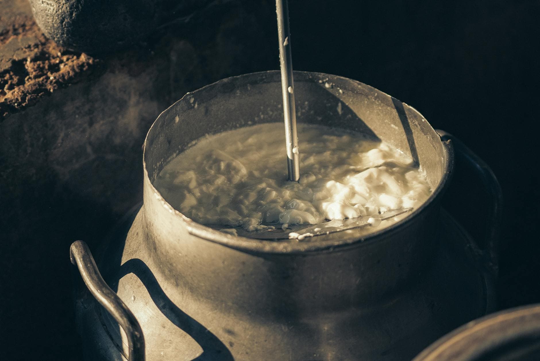 Hákarl (Fermented Shark)