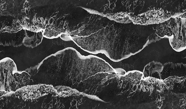 Coastal/Tel Aviv cuisine from Israel