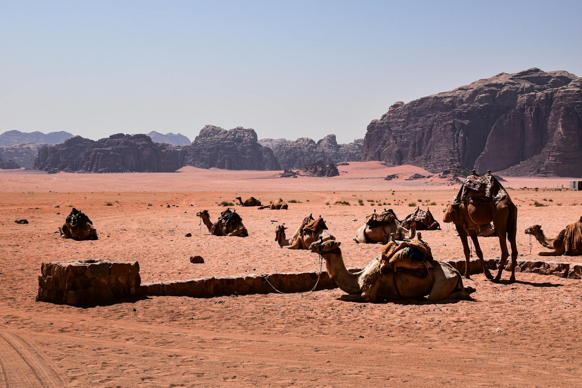 Petra & Wadi Rum (Southern Desert) cuisine from Jordan