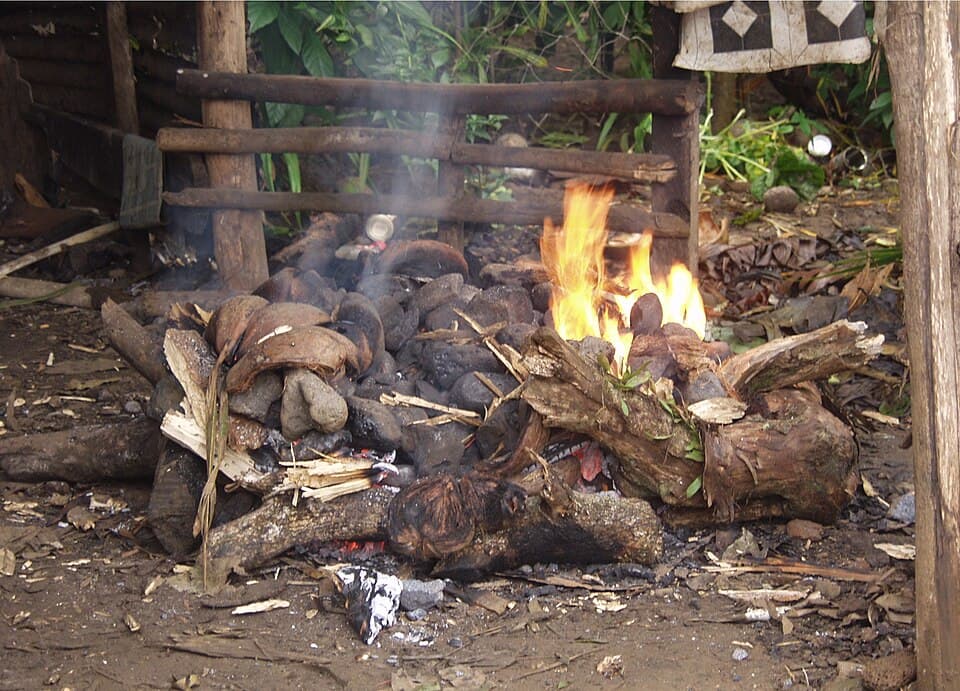 Te Ika N Umu (Underground Oven Fish)