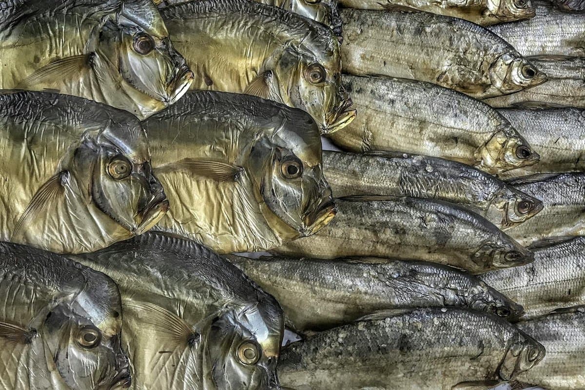 Smoked Fish (Kūpināta zivs)