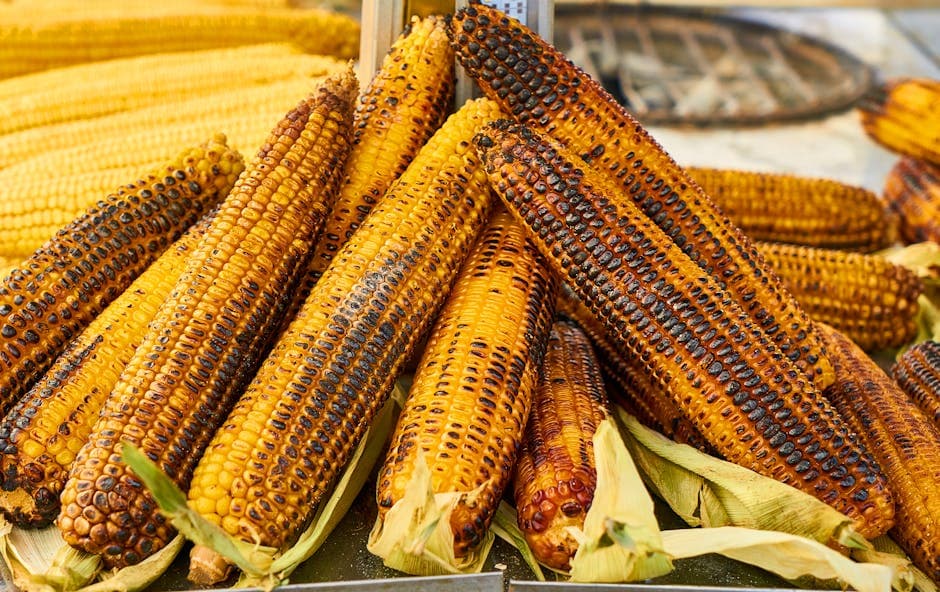 Roasted Maize