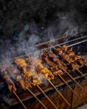 Satay (Grilled Skewered Meat)