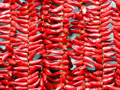Gateau Piment (Chili Cakes)