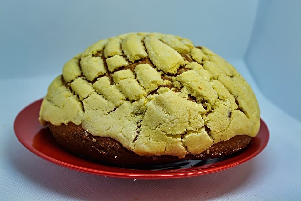 Conchas