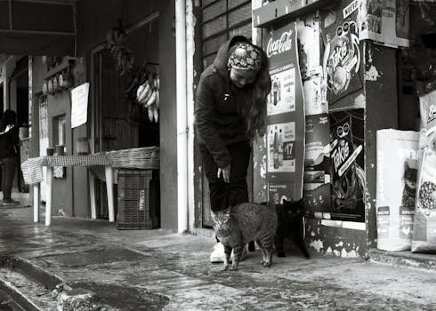 Veracruz cuisine from Mexico