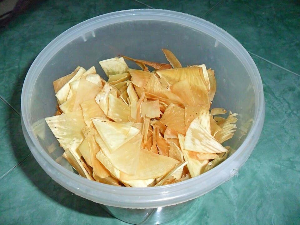 Fried Breadfruit Chips