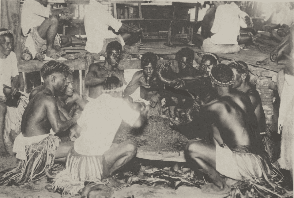 Sakau (Kava)