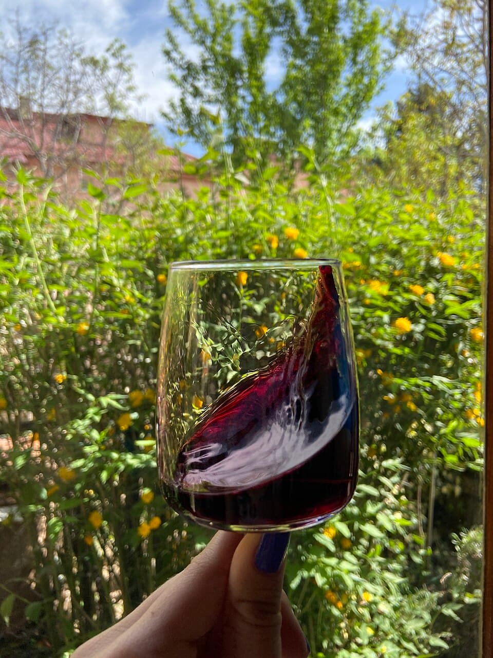 Homemade Wine