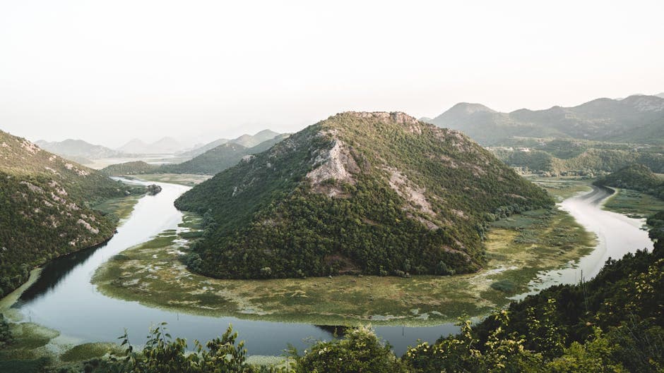 Lake Skadar Carp
