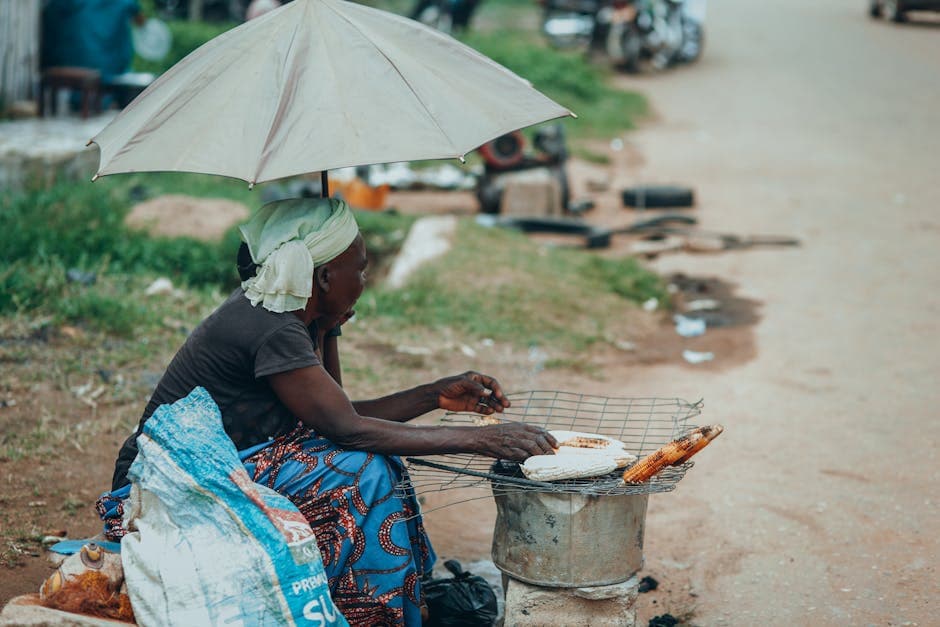Northern Nigeria (Hausa/Fulani) cuisine from Nigeria