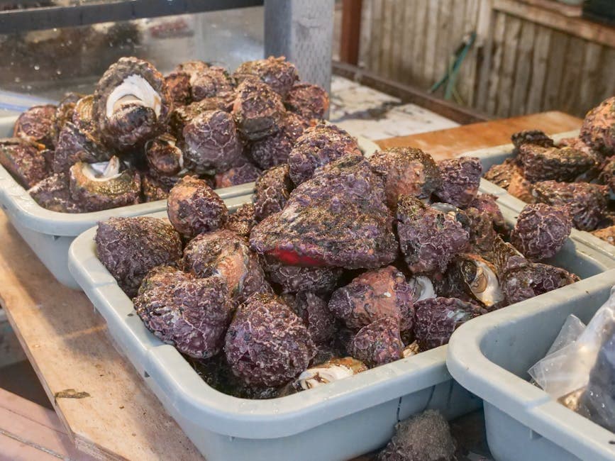 Namp'o Clam Barbecue
