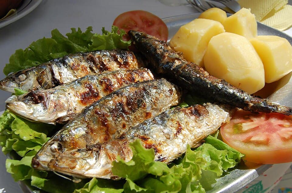 Grilled Sardines