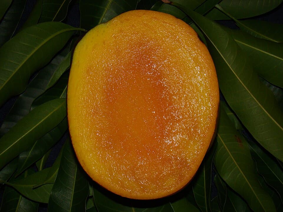 Fresh mangoes