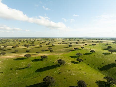 Alentejo cuisine from Portugal