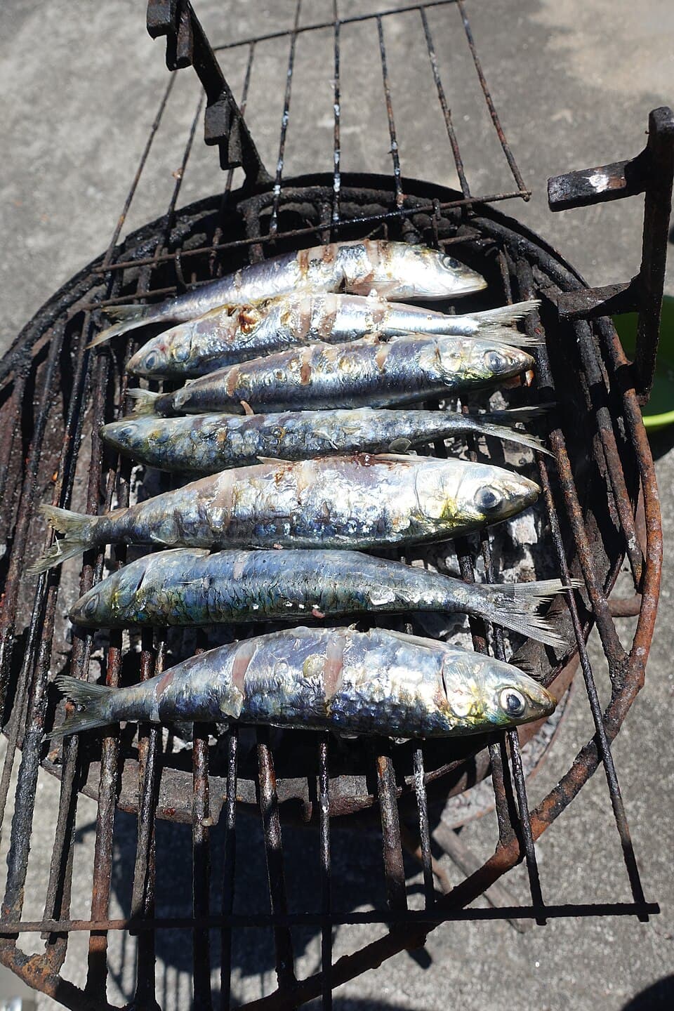 Sardinhas Assadas