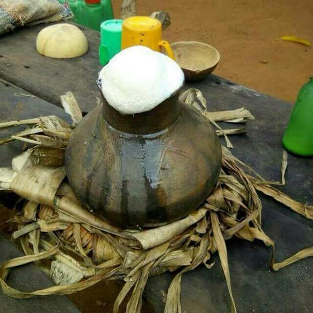 Vinho de Palma (Palm Wine)