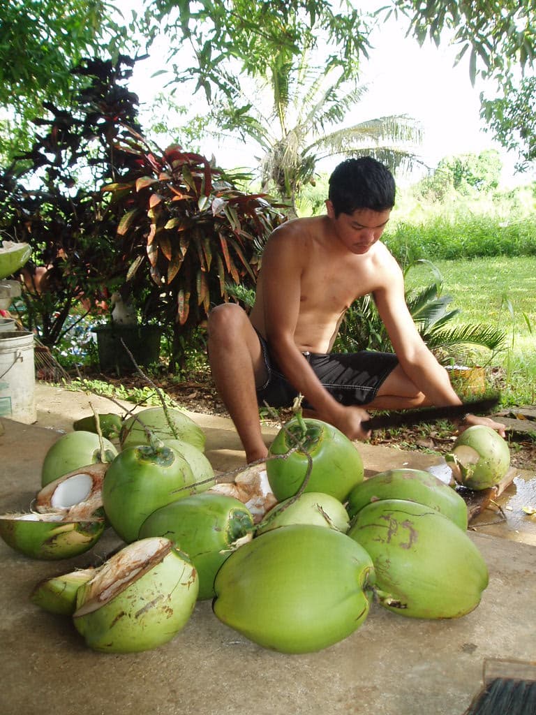 Fresh Coconut Water