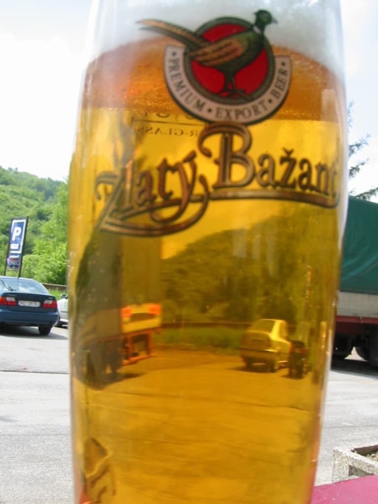 Zlatý Bažant (Golden Pheasant)