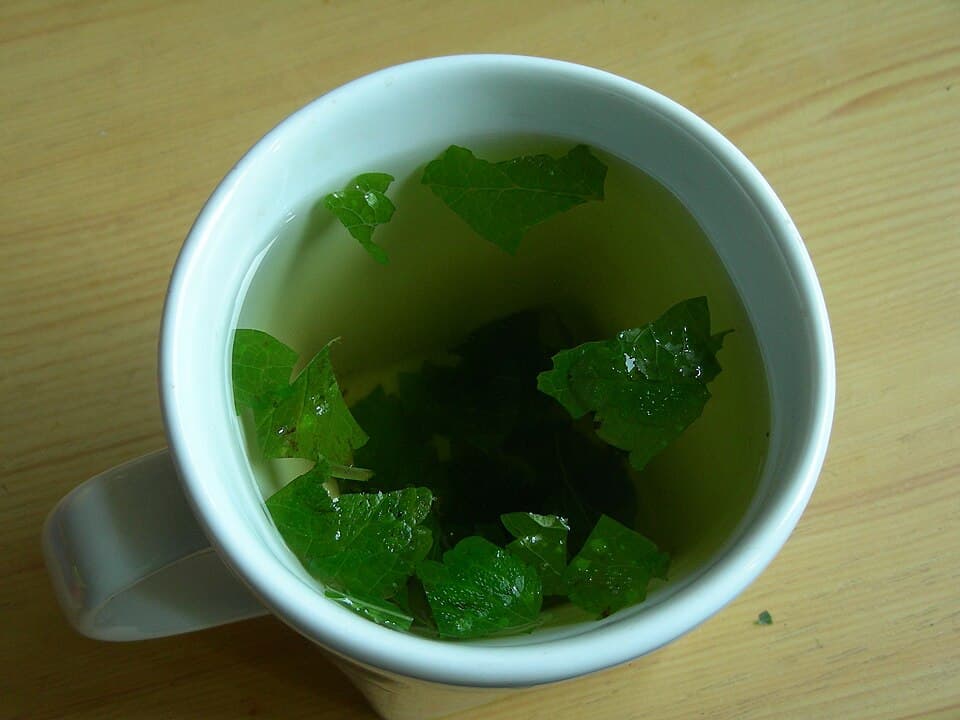 Bush Tea